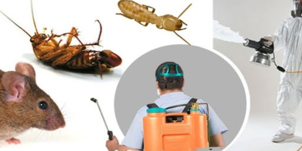 ارخص شركة مكافحة حشرات بالرياض-0552959538