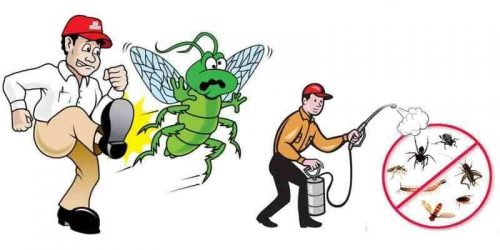 شركة متخصصة في مكافحة الحشرات-0552959538