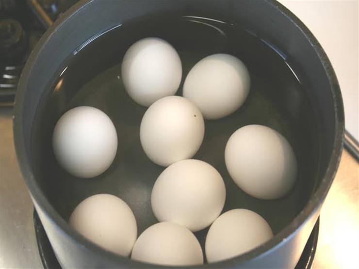 هل البيض يكشف المياه؟