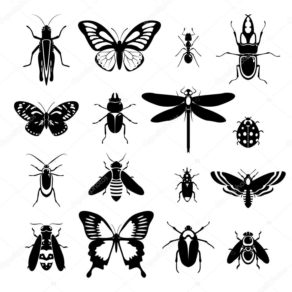 كيف يمكن مكافحة الحشرات و الآفات دون استخدام المواد الكيميائية